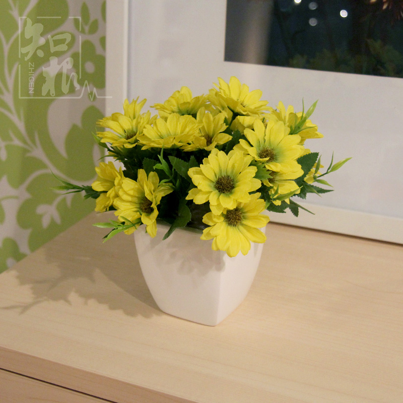 ֪�����滨TZ-250