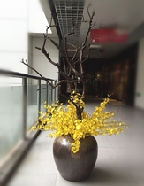 Large-scale landing High simulation dancing orchid set club house decoration floral decoration