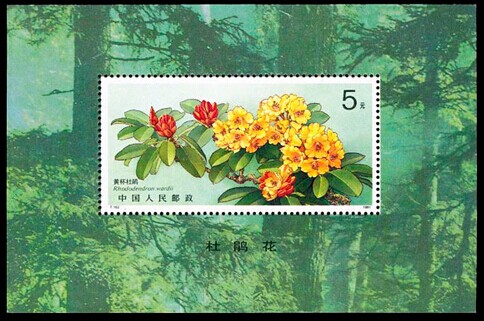 (Shen Ming) T162M Cuckoo stamp sheetlet brand new original rubber China philately