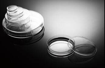 NEST 35mm 60mm 90mm 100mm一次性细胞培养皿 706001无菌TC处理