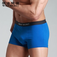 Wolfs Secret Sexy Quần lót nam cotton Cotton Lycra Boxer U Quần Boxer chính hãng 1 quan lot cho nguoi beo