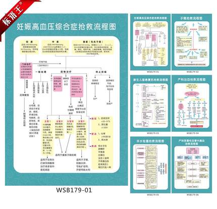 医院卫生院制度牌 妇产科急救抢救流程图挂图