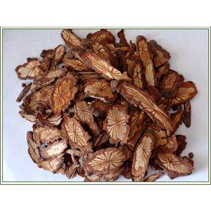 Chinese herbal medicines red vine big blood vine