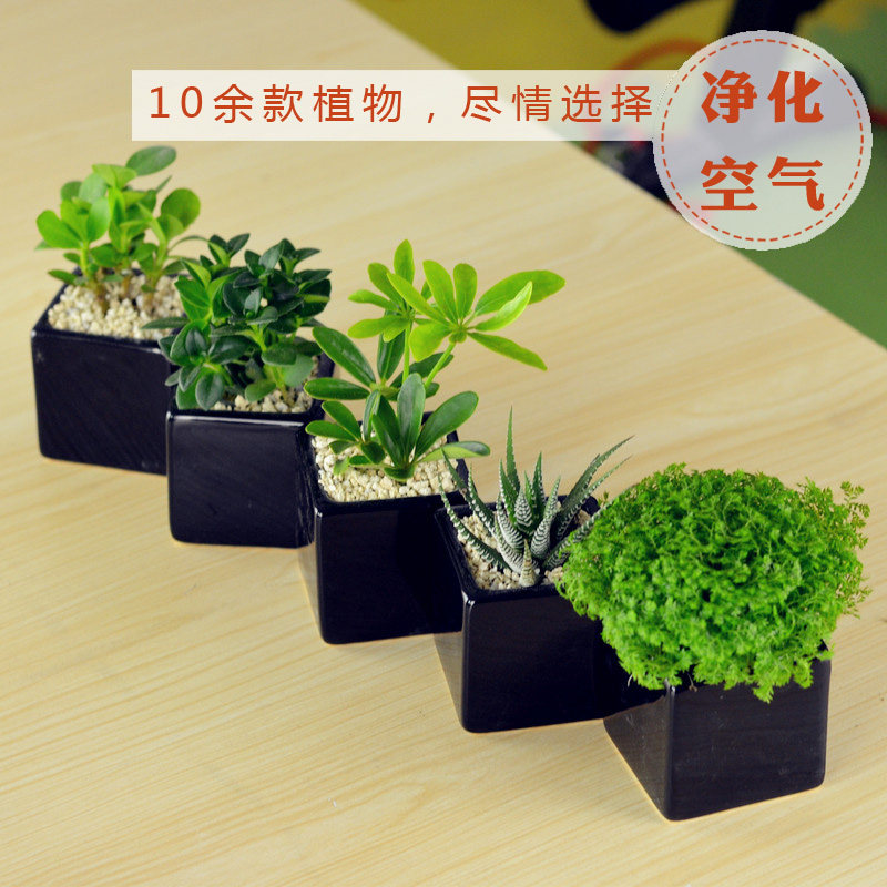 �Ӻ�ԵС����hf