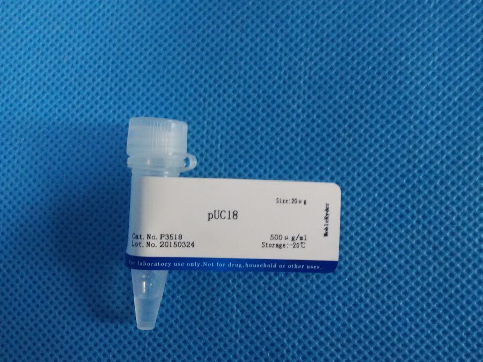 PUC18质粒 20ug  生物冰袋发货 需要干冰的朋友慎拍