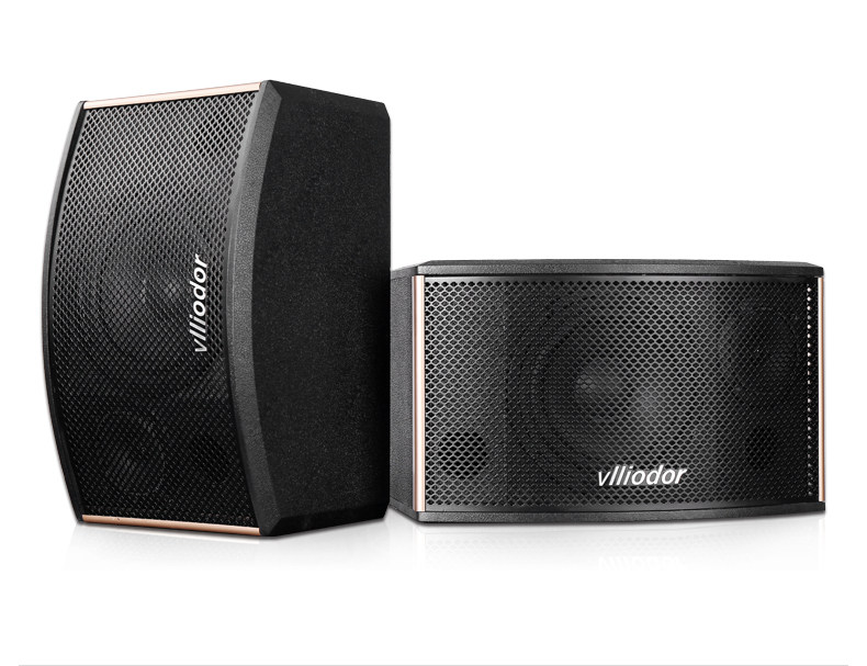 Professional 6 5 inch 8 inch 10 inch KTV Bar Card Box Conference Home Karaoke Teaching Dance Sound speaker