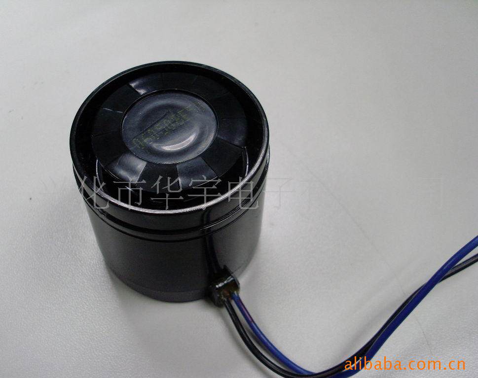 Manufacturer spot 6-24V alt car high decibel alarm buzzer machine vehicle burglar alarm