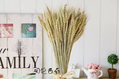 天然乾燥花小麥穗稻穀乾草真花田園拍照背景道具 天然乾燥花小麥穗稻穀乾草真花田園拍照背景道具