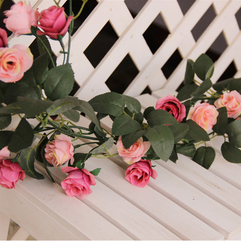 ������ɫõ���ٷ��滨��ɫõ����