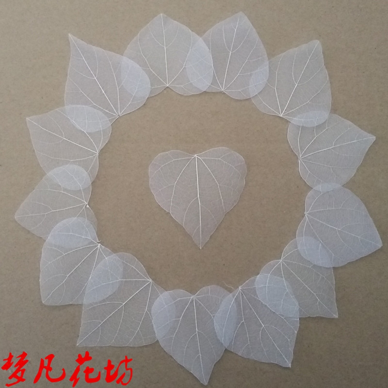 Dry flower natural leaves Bodhi leaf King Kong leaf shooting props specimen natural leaves magnolia heart-shaped leaf veins