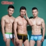 Asianbum3 dải quần lót nam liền mạch tóm tắt cotton thể thao thoáng khí thanh niên gợi cảm eo thấp - Giữa eo quần lót cạp cao