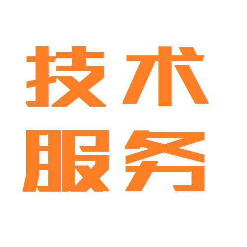 Software technical services limited to 1 item