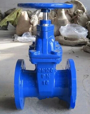 RVHX dark bar elastic seat seal gate valve manual flange gate valve life water supply gate valve DN65 DN80 3 inch