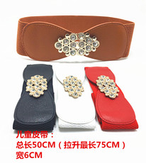 Пояс （Бесплатная доставка）маленькая девочка, девушки эластичный