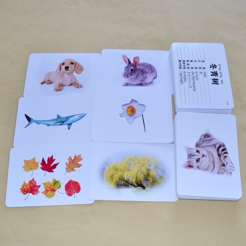 Eight-language encyclopedia card 200 hot animal and plant literacy early teaching Duman Qitian true flash