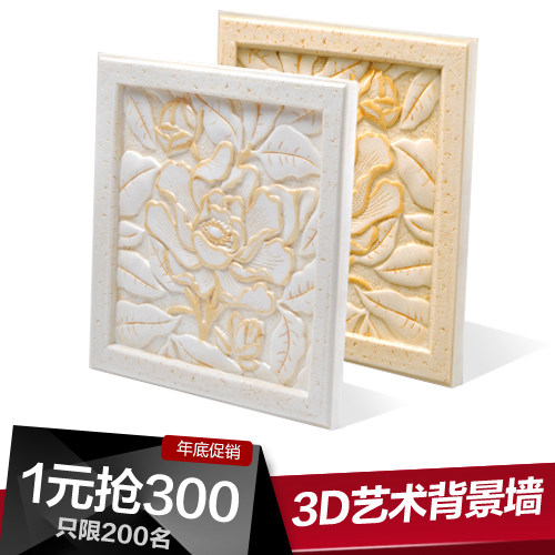 �����ִ�����ǽשBJ021