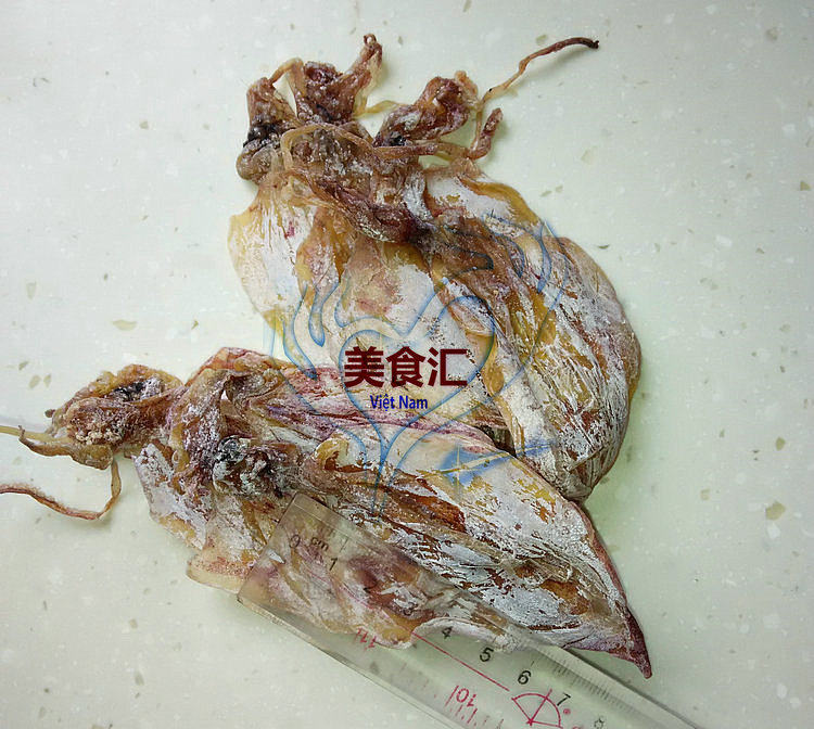 8cm Sun Dried Little Wild Raw Squid Dry 250 gr Seafood Special Produce Aqua Dried Seafood Dried Seafood