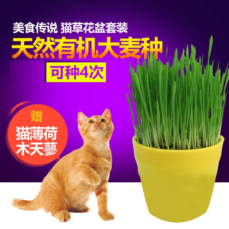 美食传说 私家定制豪华猫草花盆套装/去毛球/猫草 猫薄荷25省包邮