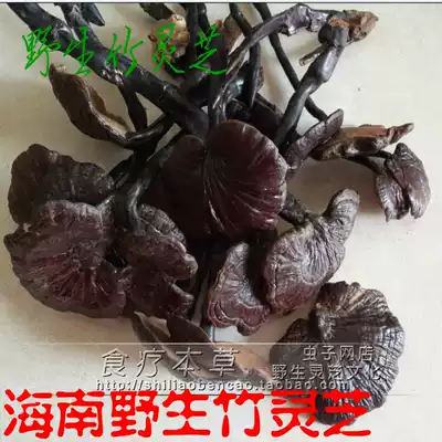 Pure Wild Bamboo Ganoderma Lucidum Hainan Ganoderma Lucidum Wuzhishan Wild Bamboo Ganoderma Lucidum 100g