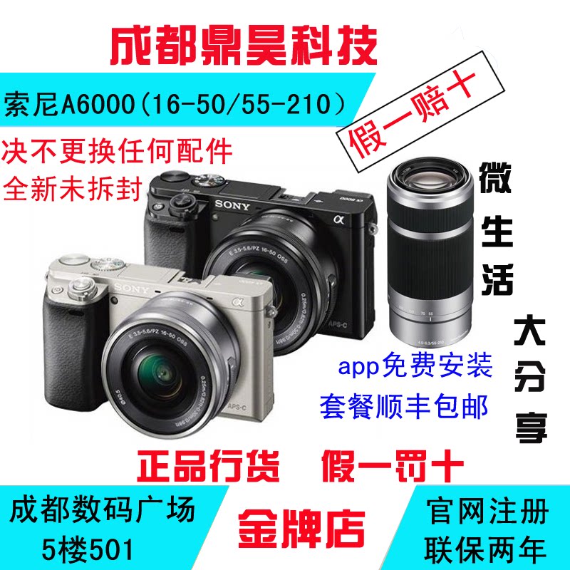 (True / False comparison)Sony A6000 ILCE-6000L Kit (16-50 55-210) Sony Micro SLR Camera