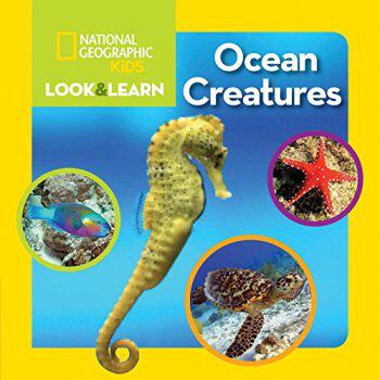 National Geographic Kids Look and Learn: Ocean Creatures/Nat