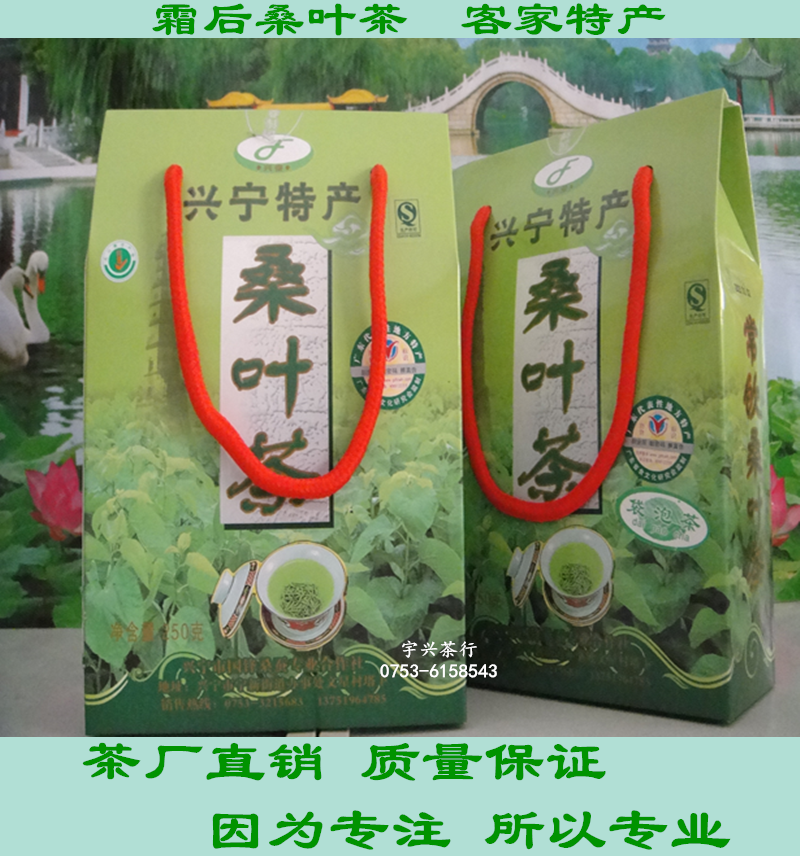 Xingning Guofeng Frost Mulberry Leaf Tea Cream After Winter Mulberry Leaf Tea Hakka Special Produce 2 Contracts 