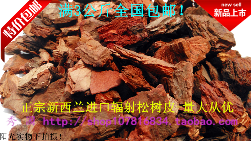 New Zealand's imported radiant pine pines have fermented orchid dendrobium multi-meat plant for national special prices