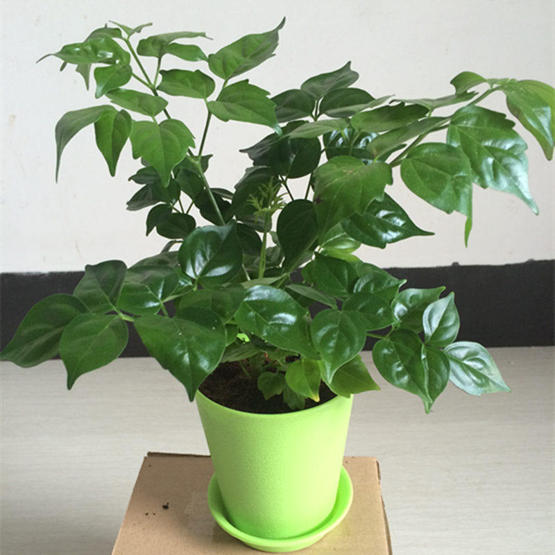 �Ӻ�ԵС����03582