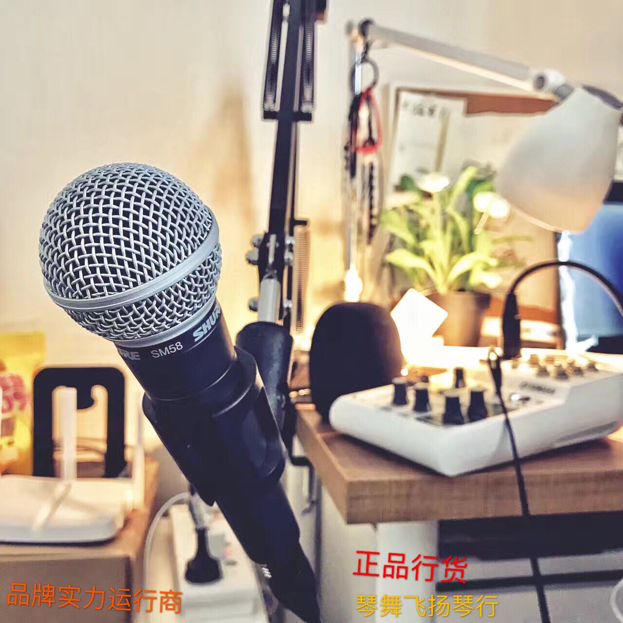 Shure Shul SM58S Play Singing Performance Cable Microphone Stage Home Moving Circle Microphone