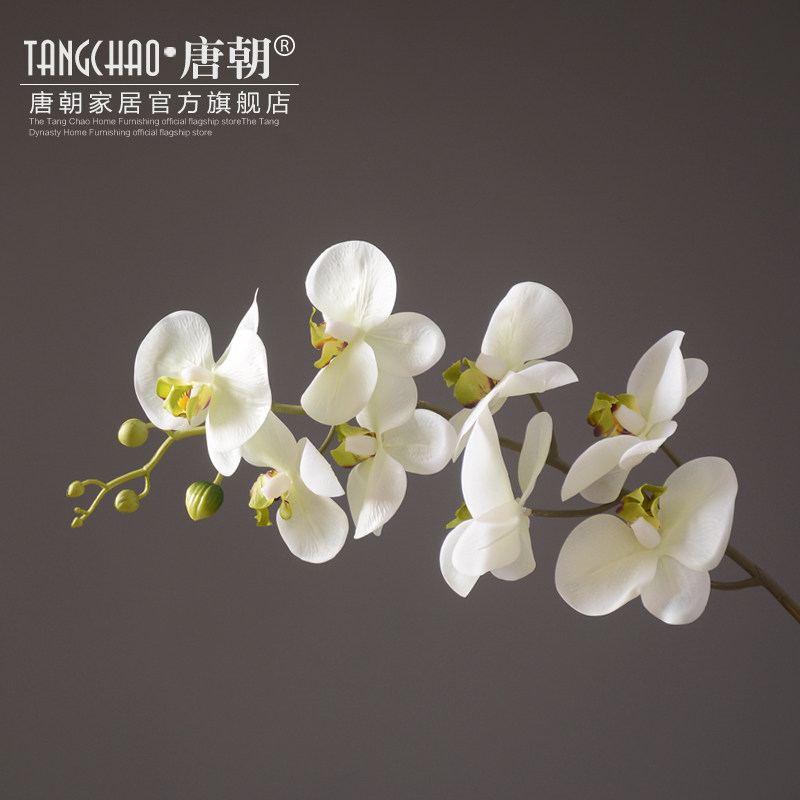 �Ƴ��Ҿ���Ʒ���滨װ��Ʒ