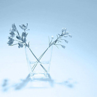 Green Yi Living Patch and Freight Special Fit how much to make no evaluation