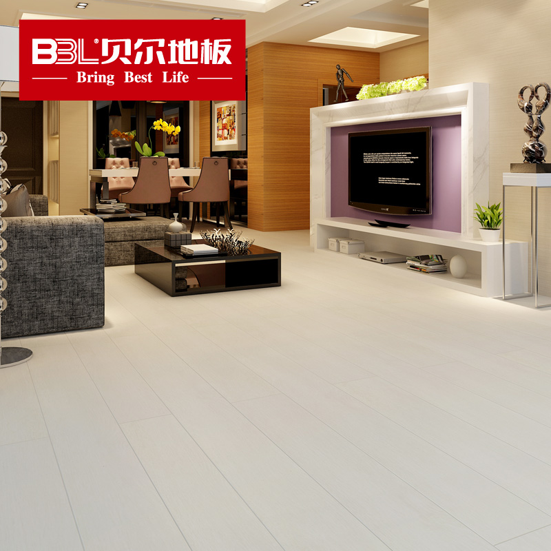 ����ǿ�����ϵذ�WL2013