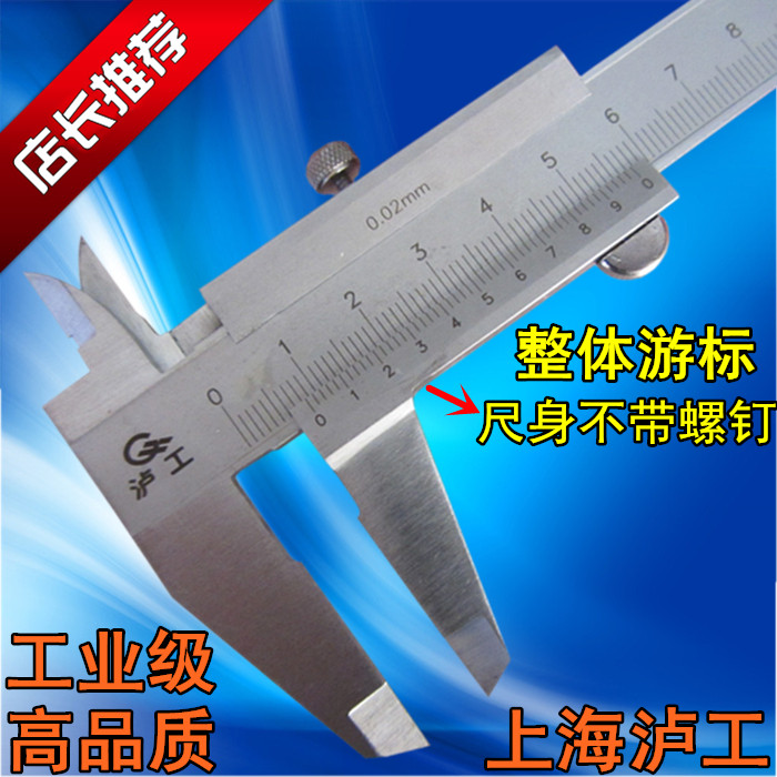 Shanghai Hongluong Stainless Steel Overall Cruise scale 0-150-200-300mm Swim Javi scale with no screws