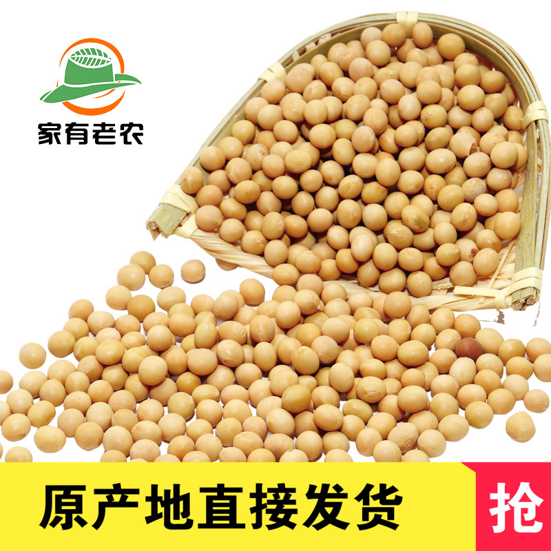 2 pieces of new grain self-planting soybean 400g farmyard soybean sprouting soy bean sprout soy milk special farmhouse self-produced soybean