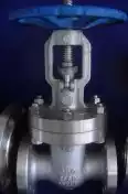 Z41W-300LB 304 316 stainless steel flange gate valve Stainless steel gate valve High pressure gate valve DN40-300