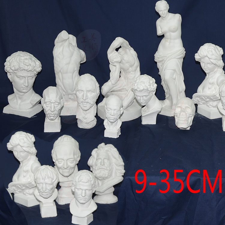 David Xiaowei pirate Agriba anatomical plaster Head plaster Plaster Teaching Aids Fine Art Sketch Venus Plaster Statue
