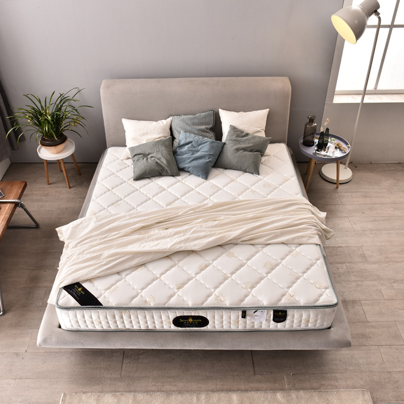 ʥ��������S0012