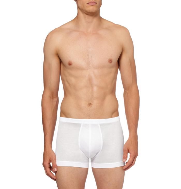 Zimmerli Cotton Boxer Briefs Swiss High-End Underwear, Available in Various Styles