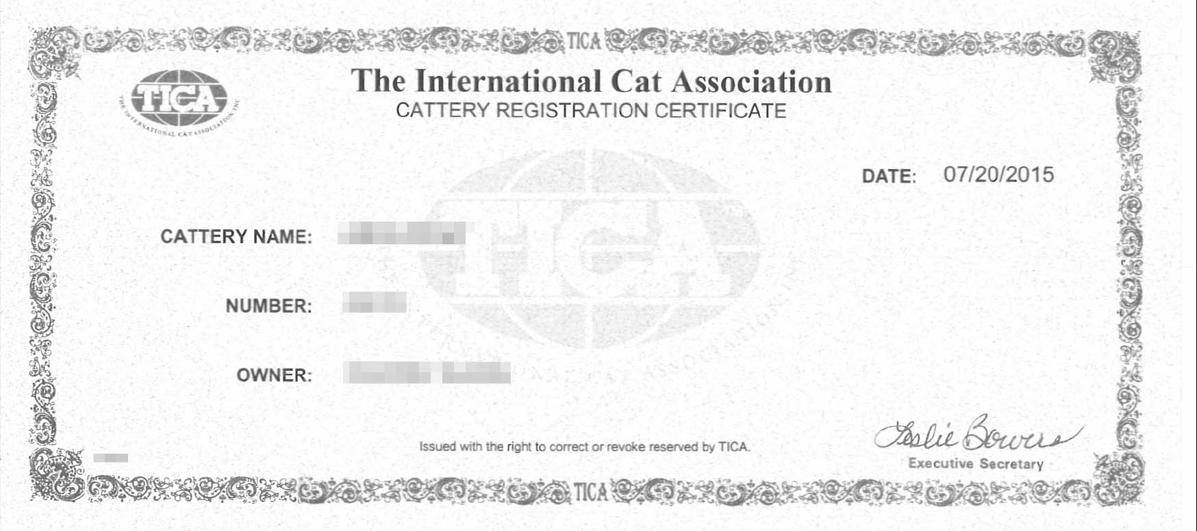 Professional Agent TICA Cat House Registration TICA Cat House Name Application Official Website can be found