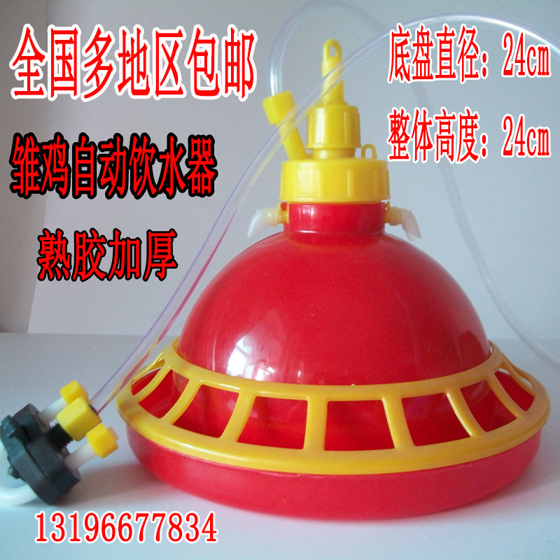 Thickened Chick Fry Small Chicken Duck Dove With Prason Automatic Drinking Water Dispenser Add Water Machine Kettle Bucket Breeding Chicken Supplies