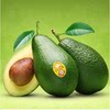 Freshly imported SF avocados from more than 8 places with free shipping
