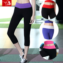 Summer yoga pants modal sweatpants womens stretch fitness pants skinny square dance pants 7 points shorts plus size