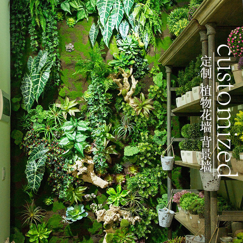 ��Ӱ����������ֲǽ�ڹ�ֲ�ﻭ�����gyyxdz-1