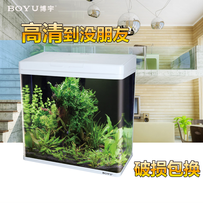 ������̬���ˮ����