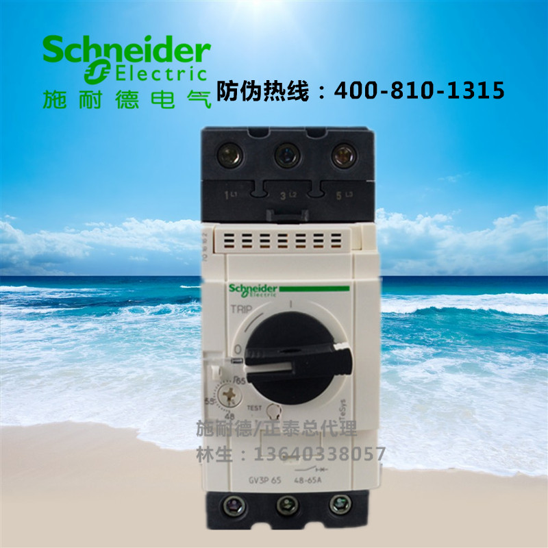 Original fashion Schneider motor circuit breaker GV3P65 48A-65A motor protection breaker