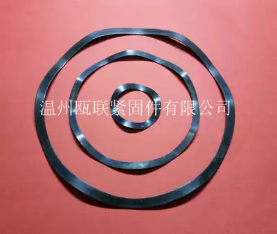 GB T 7590 motor Multi-wave wave washer (65MN)