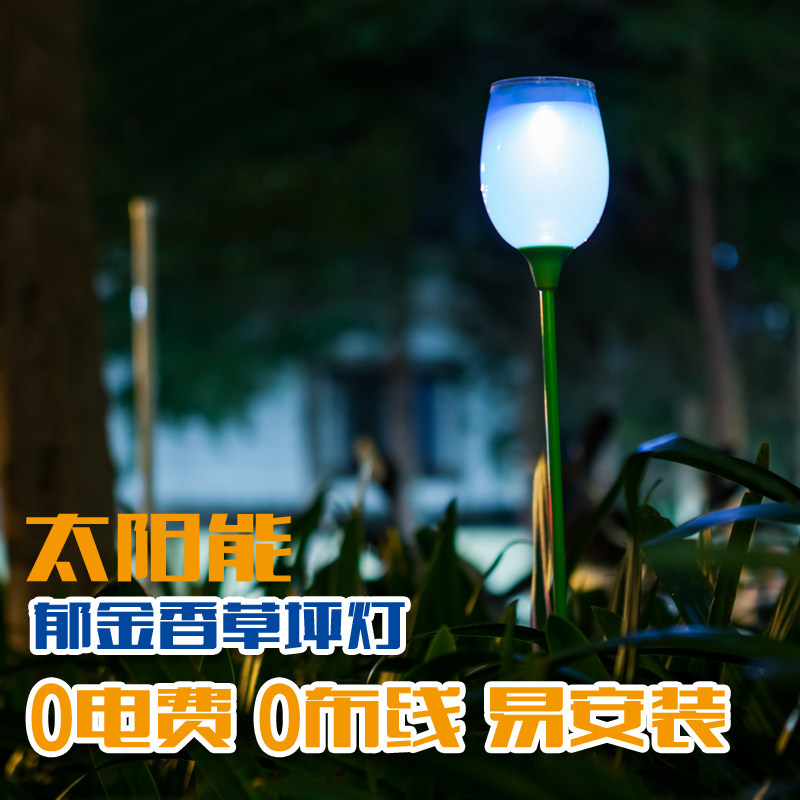 ���׿���̫���ܻ���ͥԺ��ƺ��