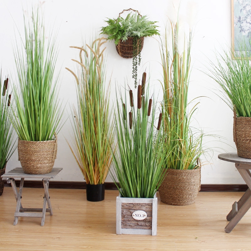 Seek point simulation pampas grass potted large-scale bonsai reed grass setaria decorative plant green plant window decoration