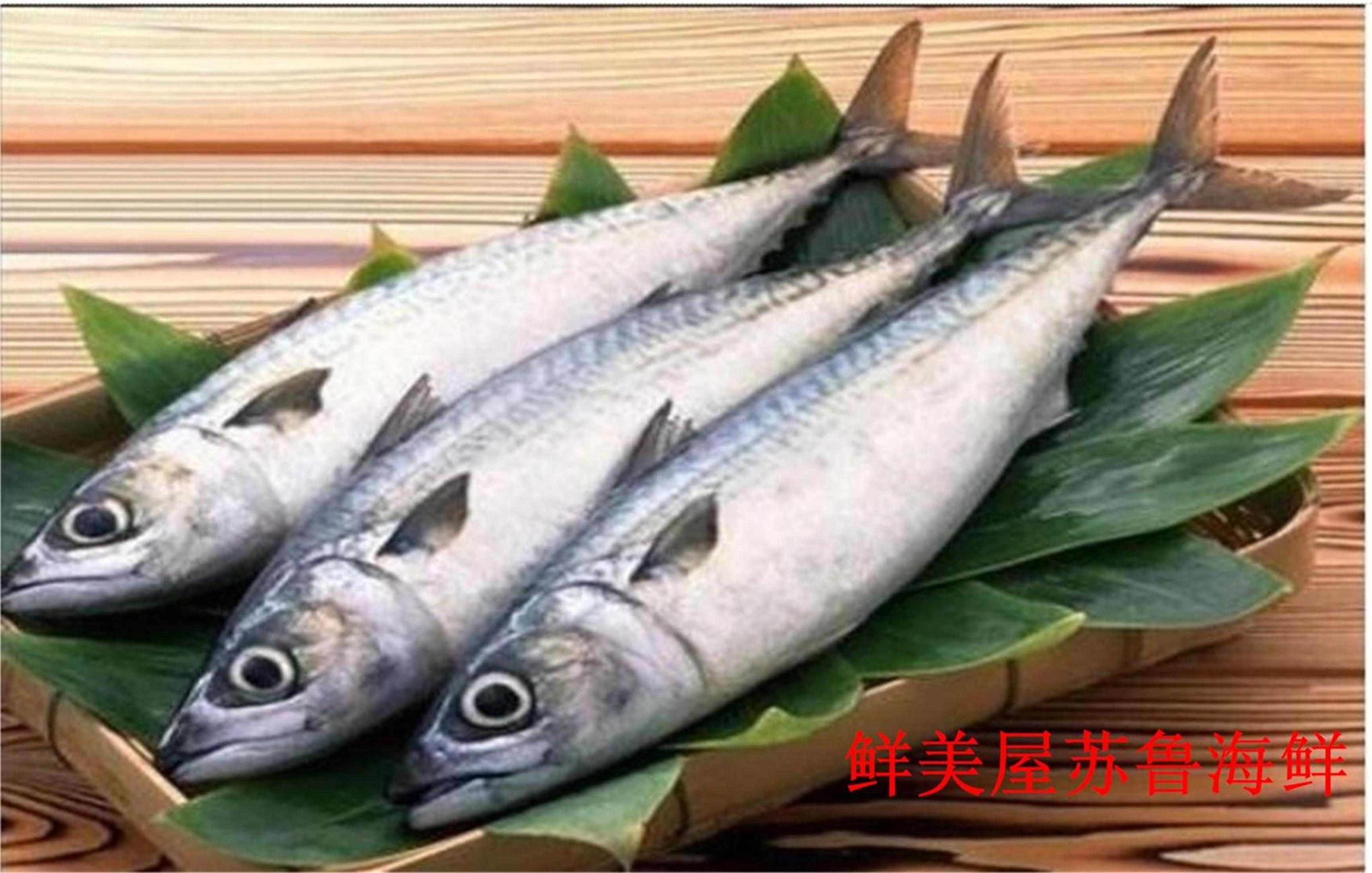 Usd 7 29 Deep Sea Specialty Mackerel Fresh Bamboo Gum Fish Wild Green Fish Big Mackerel Wild String Wholesale From China Online Shopping Buy Asian Products Online From The Best Shoping Agent
