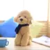 Dễ thương mô phỏng Teddy Dog Doll Gối Plush Toy Puppy Dog Doll Doll Gift Gift Girl - Đồ chơi mềm gấu bông chó mặt xệ Đồ chơi mềm